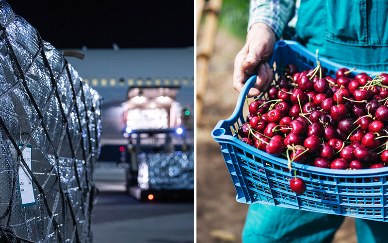 Seasonal produce such as Chilean cherries create a southern hemisphere summer peak for Cathay Cargo